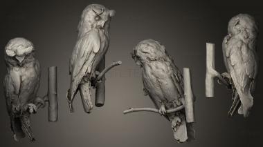 3D model Owl 05 (STL)